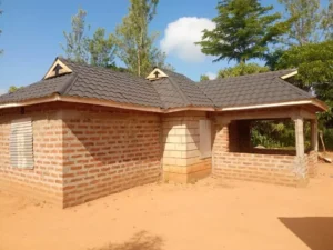 imgi_213_Tawa-Mbumbuni.jpg