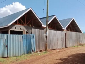 imgi_264_Kiambu-Ruaka-Banana-1536x1152.jpeg